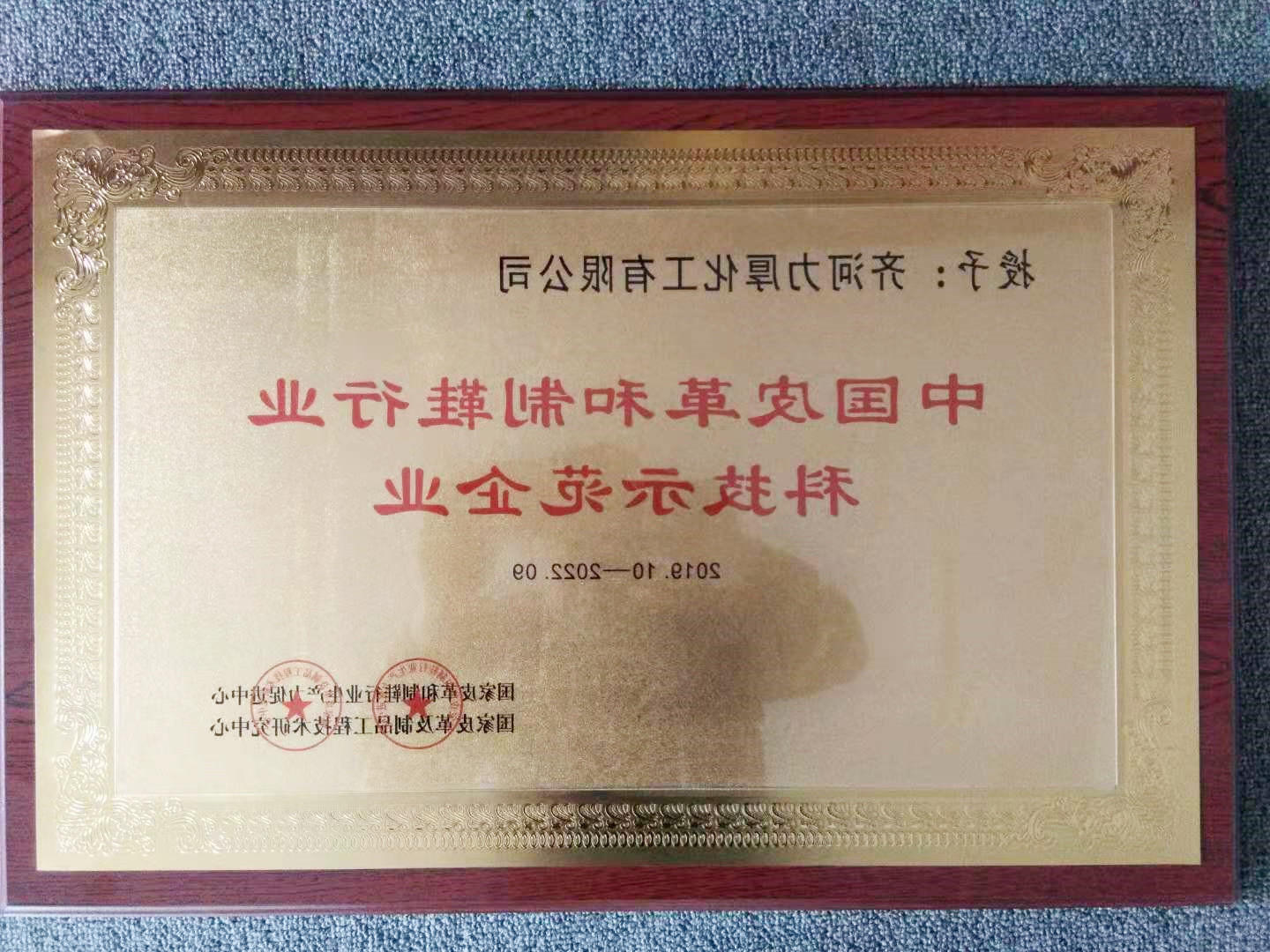 我公司被评为