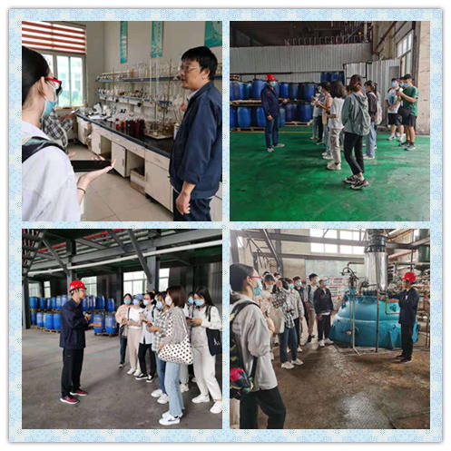 齐鲁工业大学化学与化工学院师生一行来我公司参观见习